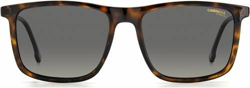 Sunčane naočale Carrera CARRERA 231/S: Boja: Havana Brown, Veličina: 55-18-145, Spol: muške, Materijal: acetat