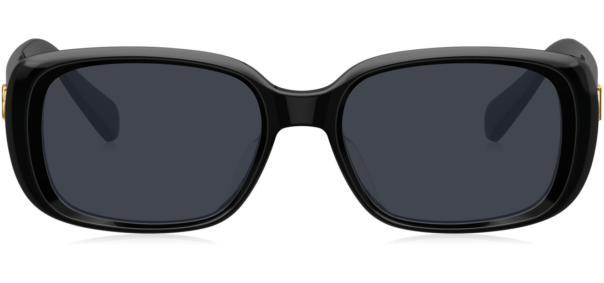 Sunčane naočale Bolon BL3096 54 C10: Boja: Black, Veličina: 54, Spol: ženske, Materijal: acetat